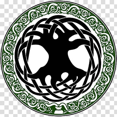 Tree of life Celts Celtic knot Celtic art Symbol, symbol transparent background PNG clipart