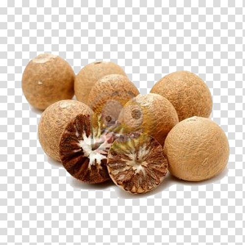 Areca palm Areca nut Betel Sirsi, Karnataka, Betel transparent background PNG clipart