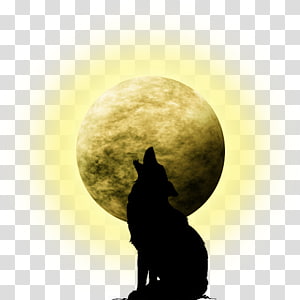 Blue Moon PNG Transparent With Clear Background ID 173240