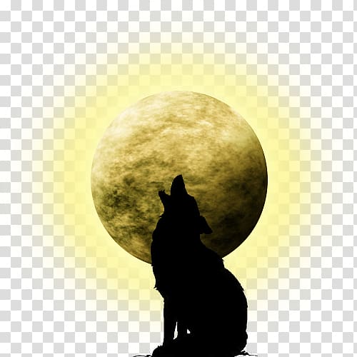 Supermoon Coyote Blue moon Full moon, moon transparent background PNG clipart