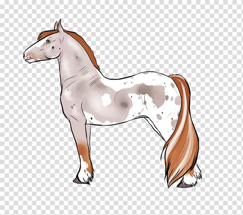 Foal Mare Mustang Halter Stallion, mounted archery training transparent background PNG clipart