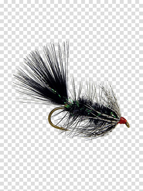 Artificial fly Hackles Fly fishing, Holly Flies transparent background PNG  clipart