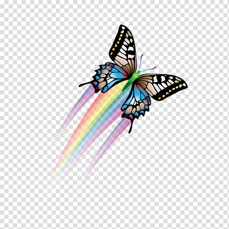 Butterfly Papillon dog Software, Colorful butterfly transparent background PNG clipart