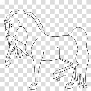 Line art Drawing Mustang, mustang transparent background PNG clipart thumbnail