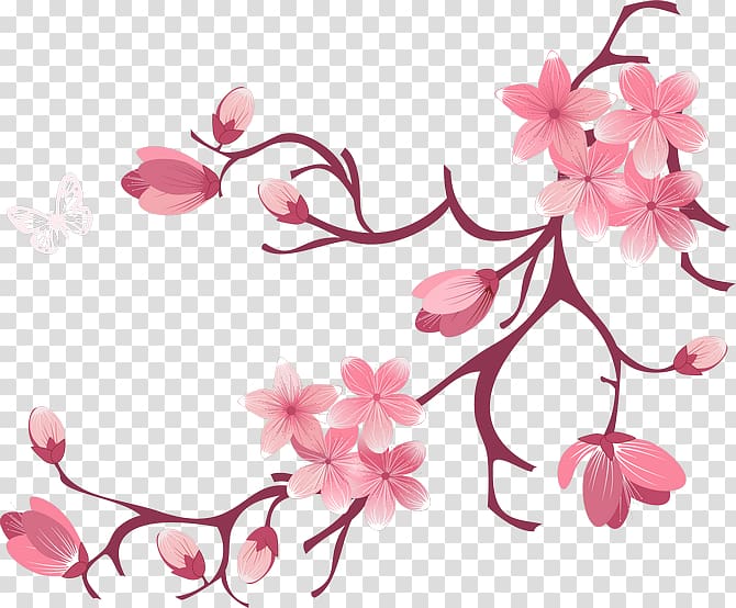 National Cherry Blossom Festival, Fresh and elegant pink flowers bloom transparent background PNG clipart