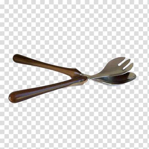 Tasmanian oak Atherosperma Wooden spoon Phyllocladus aspleniifolius, Tazmanian transparent background PNG clipart