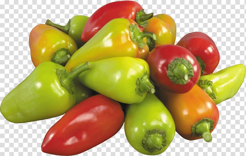 Bell pepper Black pepper Pickled cucumber Vegetable Chili pepper, black pepper transparent background PNG clipart