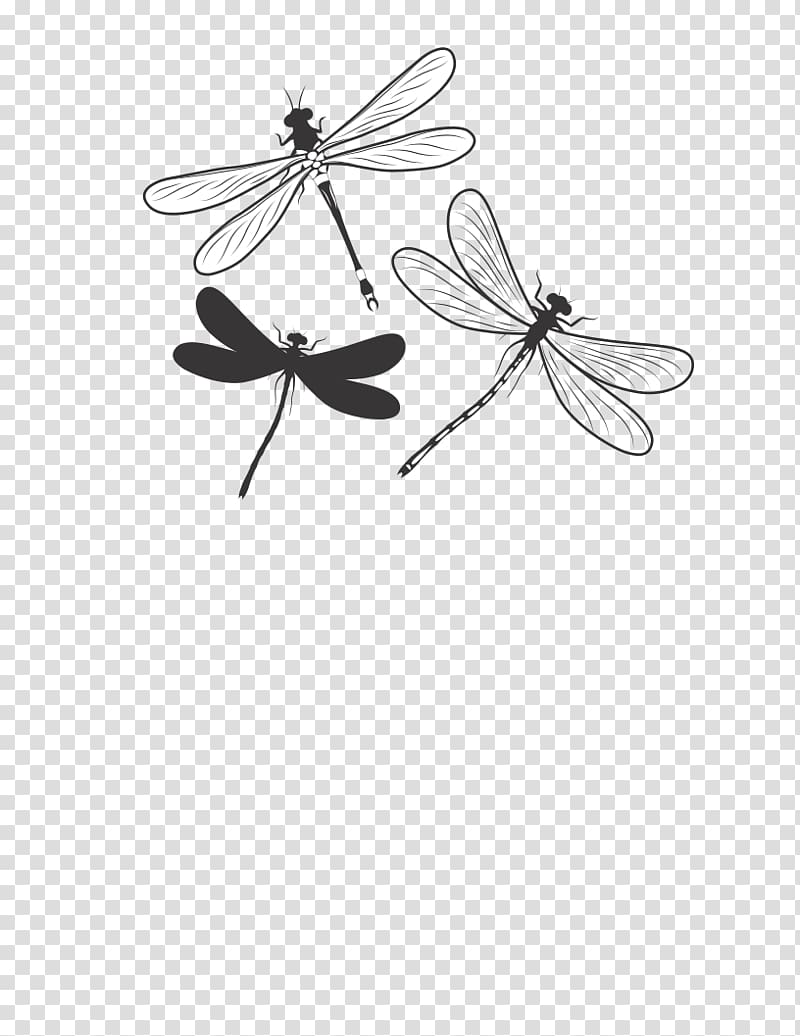 Insect Butterfly Pollinator Monochrome Black and white, dragon fly transparent background PNG clipart