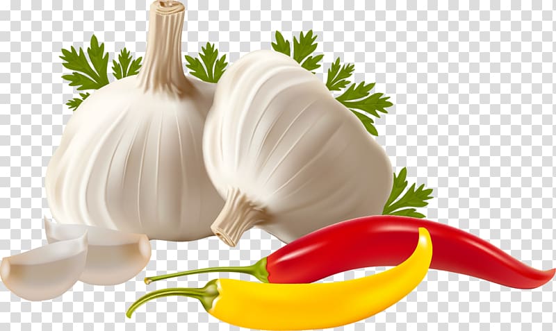 Vegetable Garlic Herb, garlic transparent background PNG clipart