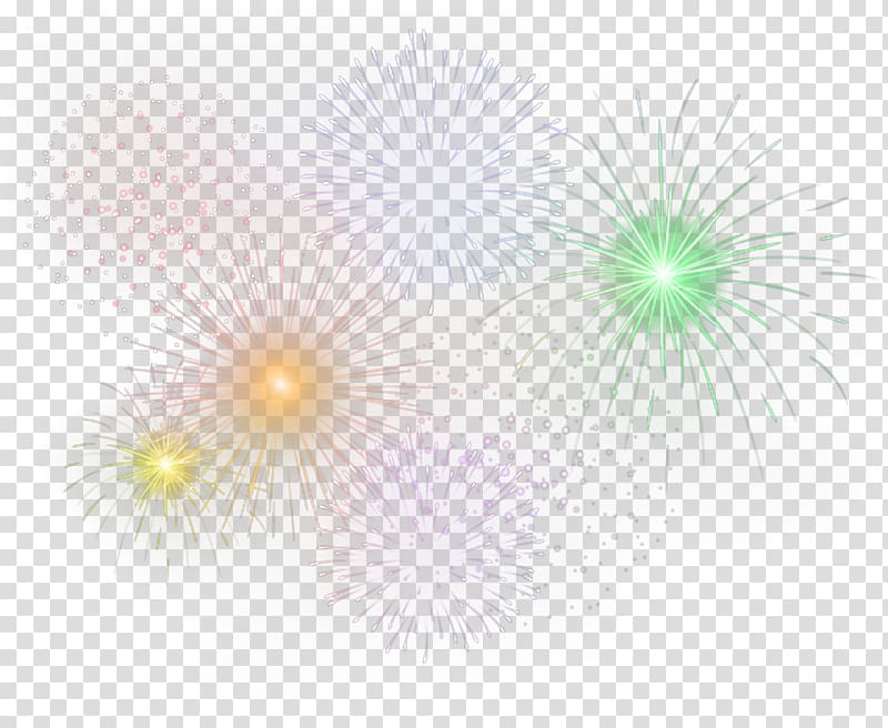 Graphic design Petal Green Pattern, Fireworks transparent background PNG clipart