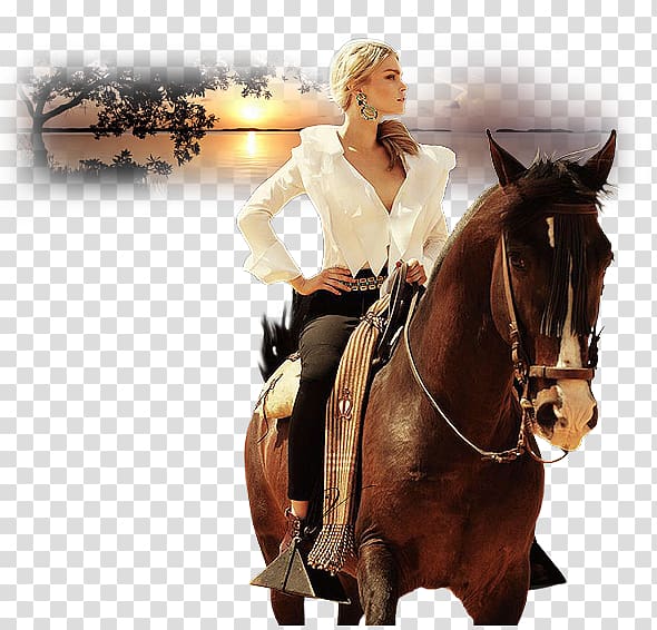 Horse Fashion Equestrian , white swan transparent background PNG clipart