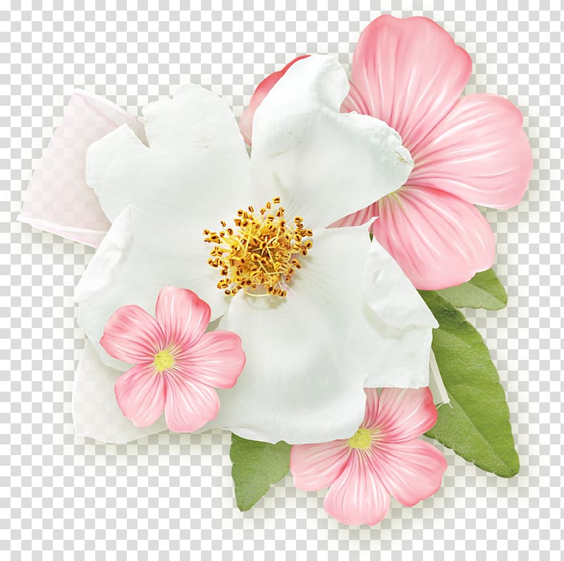 Flower Rose Blossom, flower transparent background PNG clipart