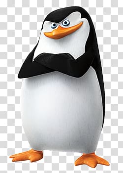 Madagascar penguins transparent background PNG clipart