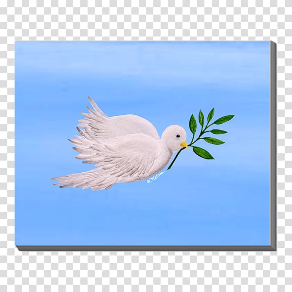 Canvas Gulls Art Bird Cygnini, canvas material transparent background PNG clipart