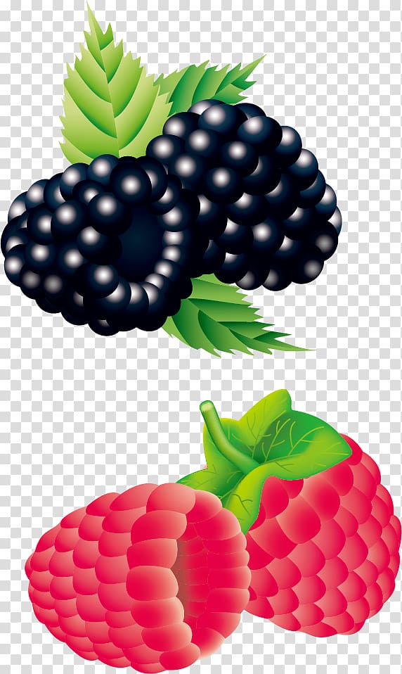 Raspberry Strawberry Blackberry, Raspberry transparent background PNG clipart