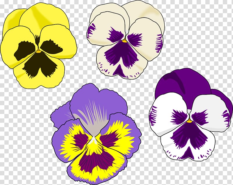 Pansy Drawing Flower , Crunch transparent background PNG clipart