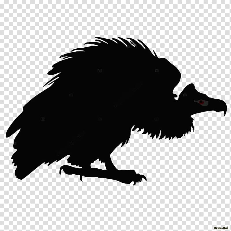 Turkey vulture Drawing Line art, vulture transparent background PNG clipart