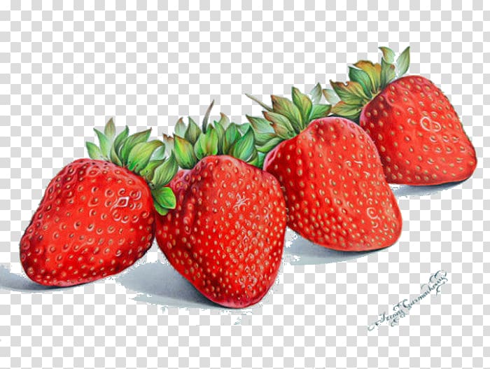 four strawberries illustration, Colored pencil Drawing Still life Watercolor painting Aedmaasikas, Hand-painted strawberry transparent background PNG clipart