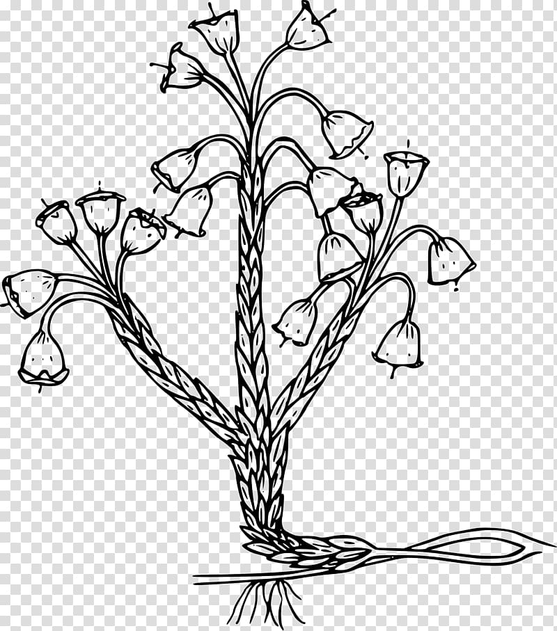 Plant Black and white , plant transparent background PNG clipart