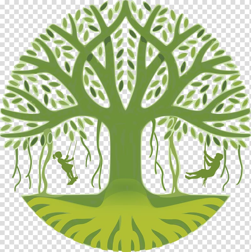 CAPACES Leadership Institute Organization Child Tree, tree top view transparent background PNG clipart