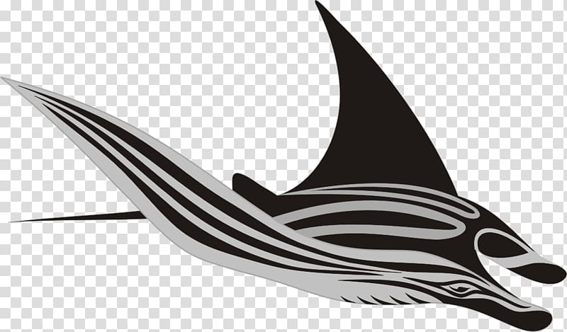 Giant oceanic manta ray Fish Batoidea, fish transparent background PNG clipart