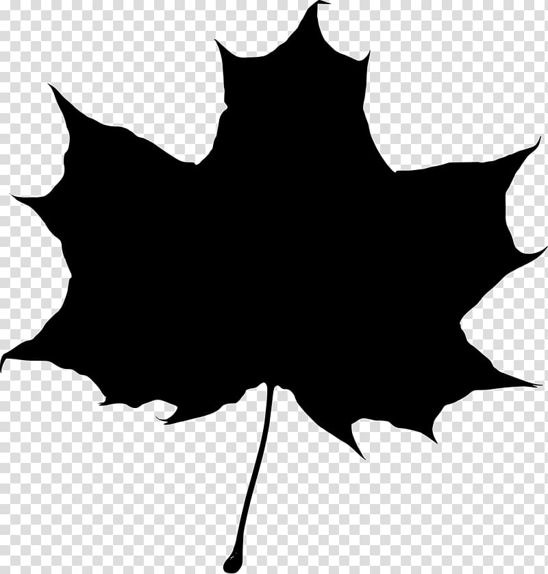 Maple Leaf Silhouette transparent background PNG clipart