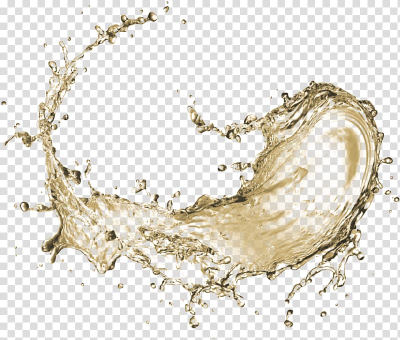 Organism Water Electrolyte Drawing, water transparent background PNG clipart