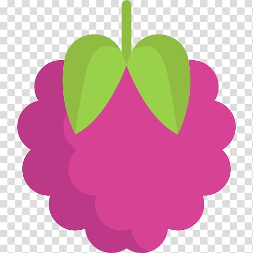 Computer Icons Raspberry , raspberry transparent background PNG clipart