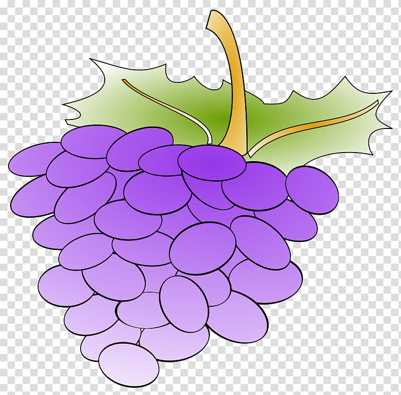 Common Grape Vine Grape leaves , Grapevine transparent background PNG clipart