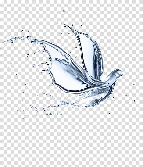 Birds splash transparent background PNG clipart | HiClipart