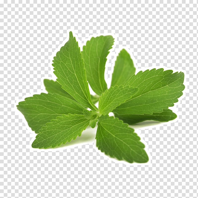 Stevia Candyleaf Sugar substitute Extract Calorie, Iron Cells transparent background PNG clipart