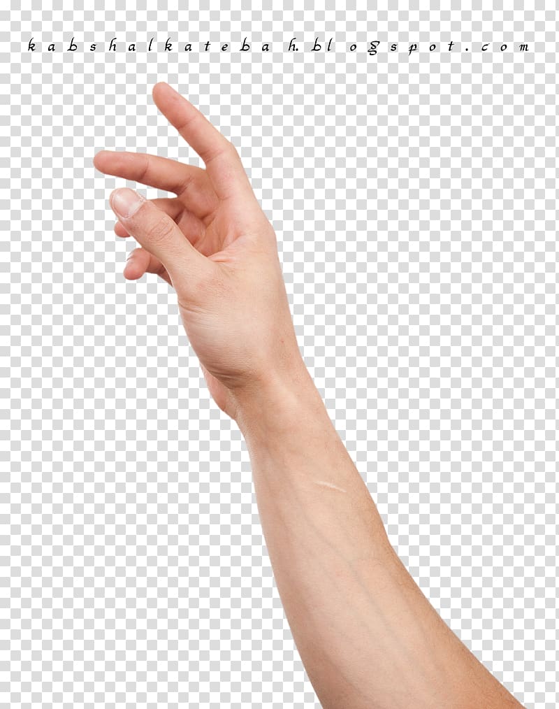 Hand Upper limb Arm Finger, fist transparent background PNG clipart