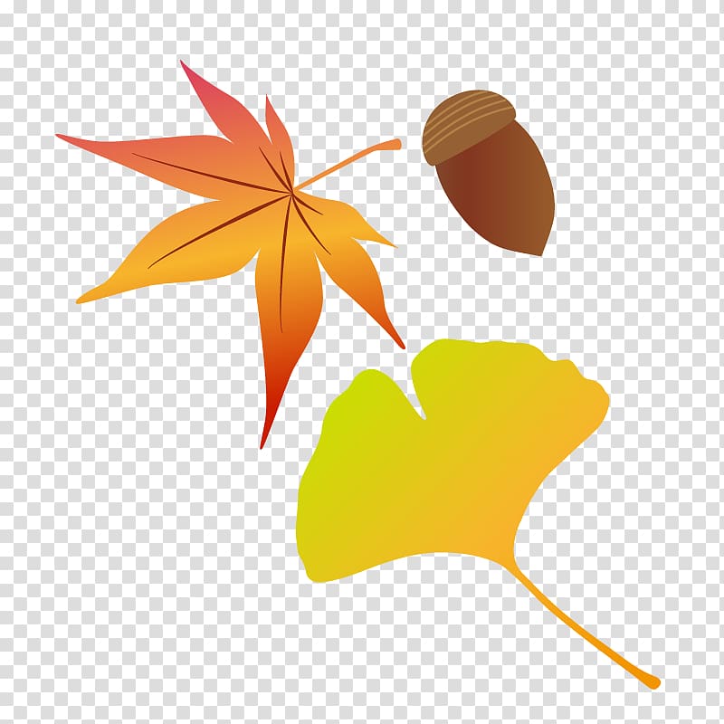 Autumn leaf color Illustration Tsukimi Snowboarding, autumn transparent background PNG clipart