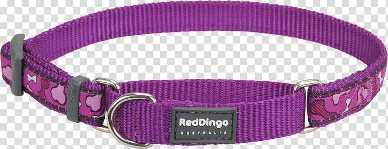 Dog collar Dingo Martingale, red collar dog transparent background PNG clipart