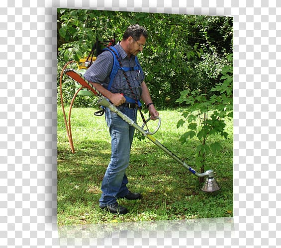 String trimmer Edger Lawn Mowers Tree, herbage transparent background PNG clipart