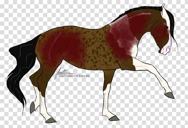 Mustang Foal Stallion Colt Mare, War Horse transparent background PNG clipart