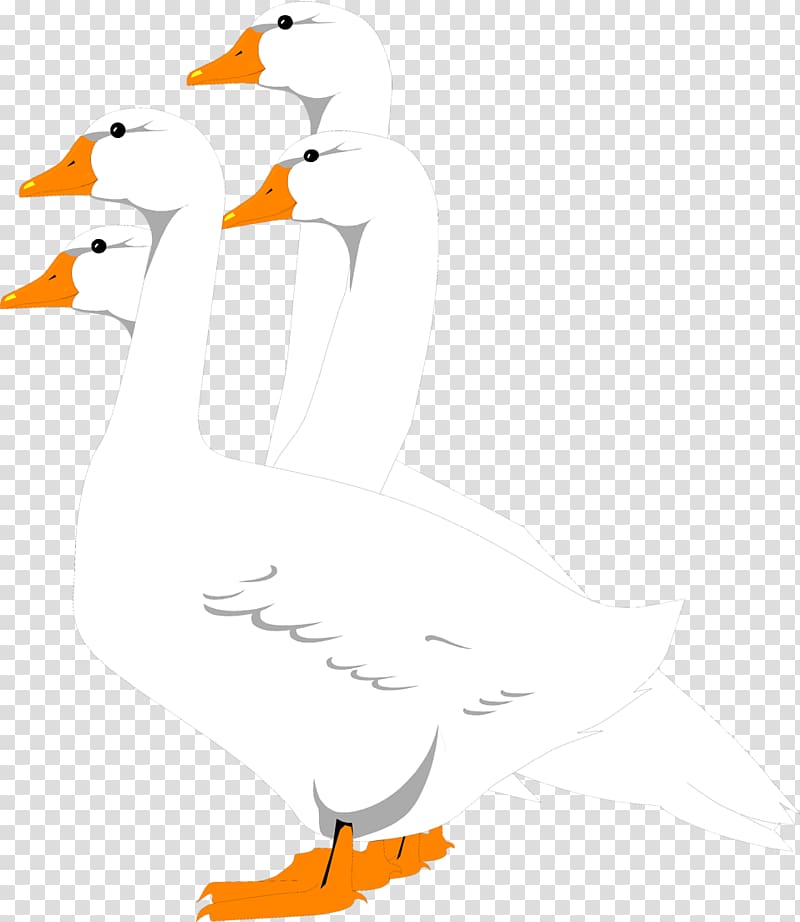 Goose Bird Flock , goose transparent background PNG clipart