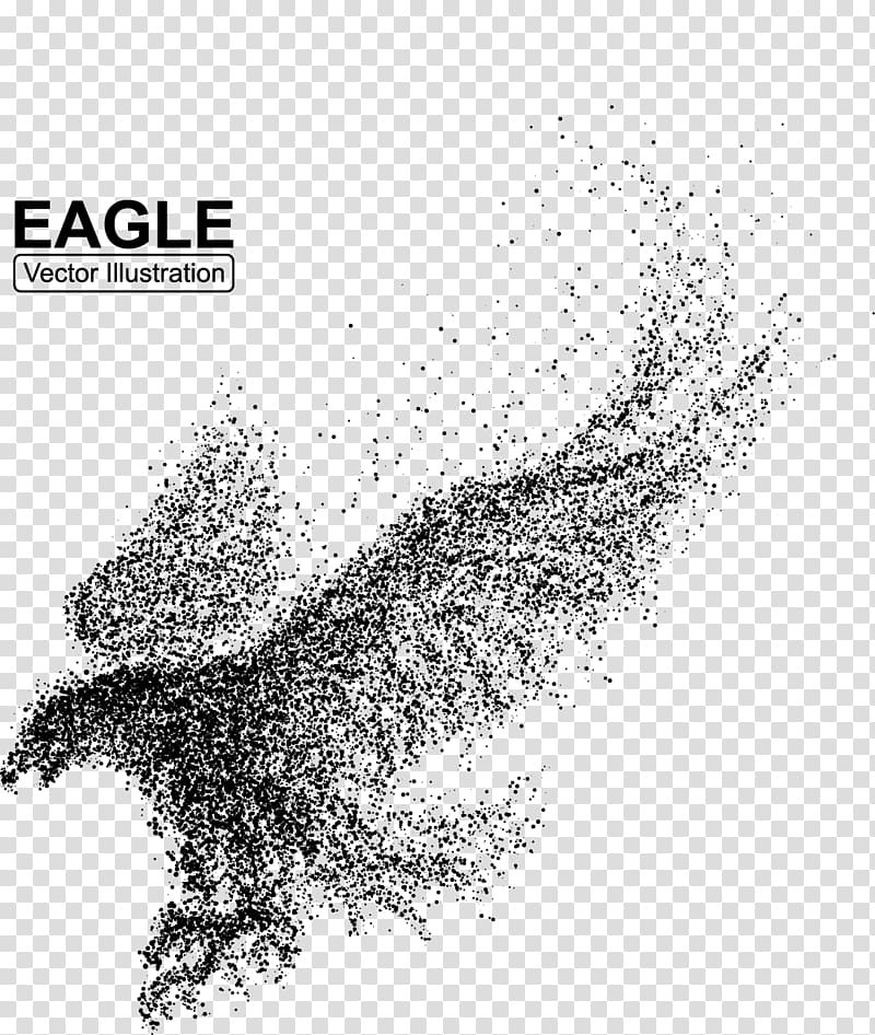 black Eagle illustration, Bald Eagle Bird Illustration, eagle transparent background PNG clipart
