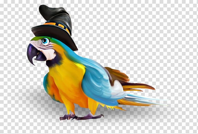 Parrot Halloween Perroquet , Magic Parrot transparent background PNG clipart
