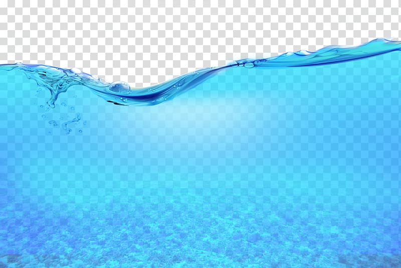seabed transparent background PNG clipart