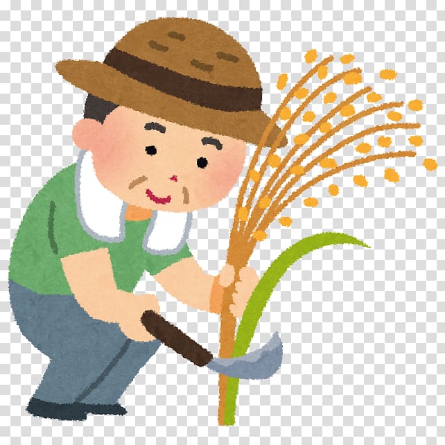 Rice Harvest Agriculture Paddy Field Straw, satildeo pedro transparent background PNG clipart