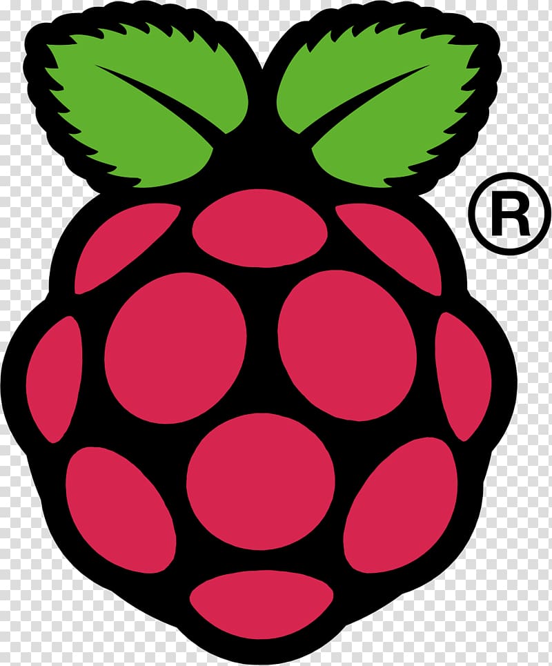 Raspberry Pi 3 Computer Software, raspberry transparent background PNG clipart