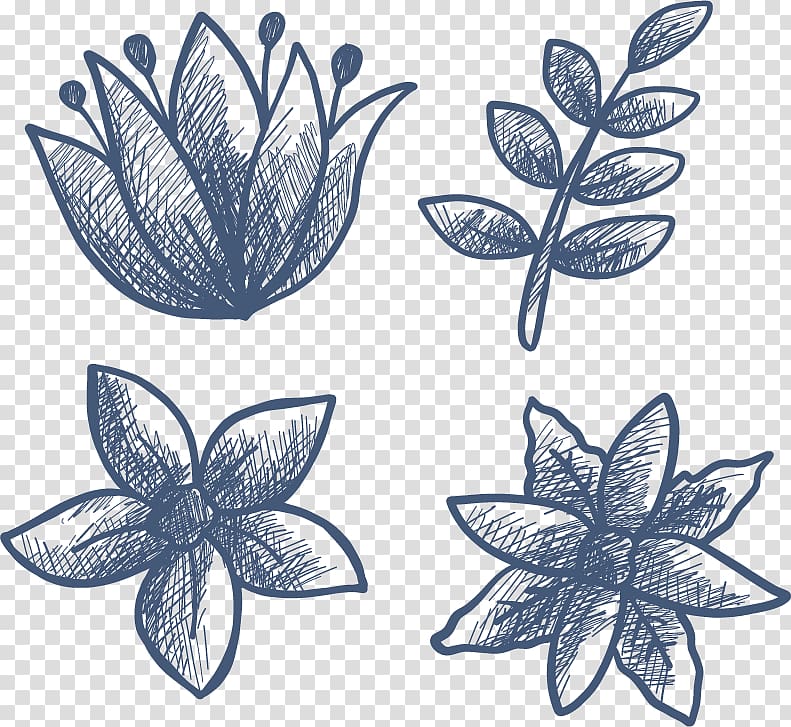 Drawing Leaf Flower Petal, Sketch winter flowers transparent background PNG clipart