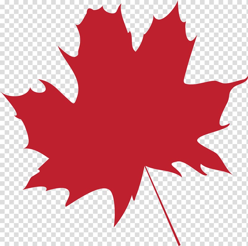 Maple leaf Flag of Canada Color, folha transparent background PNG clipart