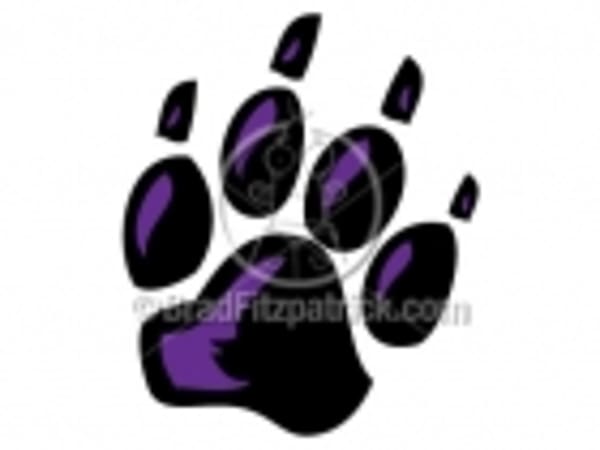 Black panther , Panther Paws transparent background PNG clipart