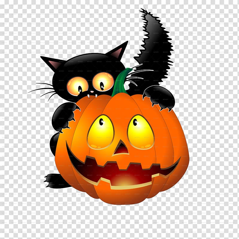 Black cat Halloween , bat transparent background PNG clipart