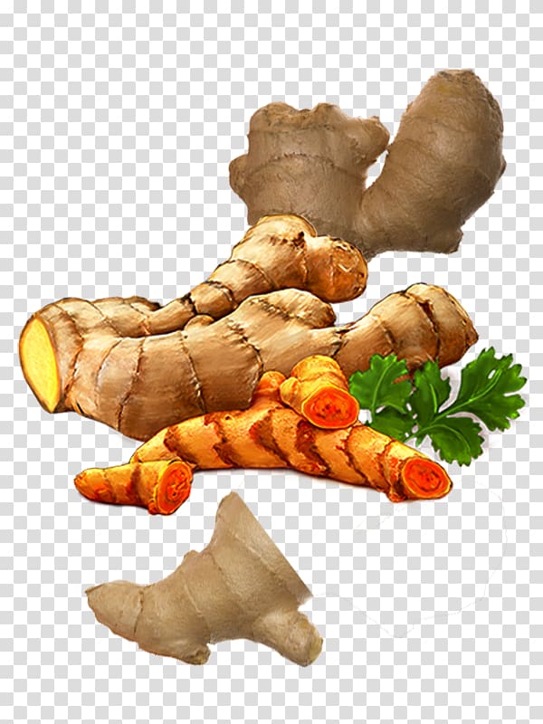 Ginger Turmeric Condiment, Creative variety of fresh ginger transparent background PNG clipart