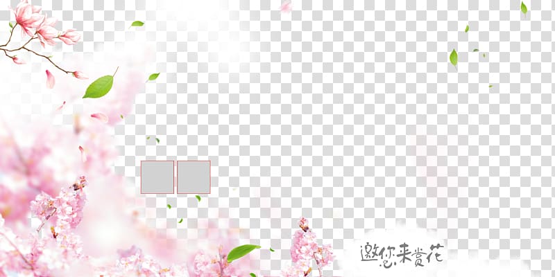 Pink Petal Flower, Pink Peach Blossom Background transparent background PNG clipart