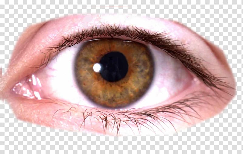 Eye Pupil Iris , Eye transparent background PNG clipart