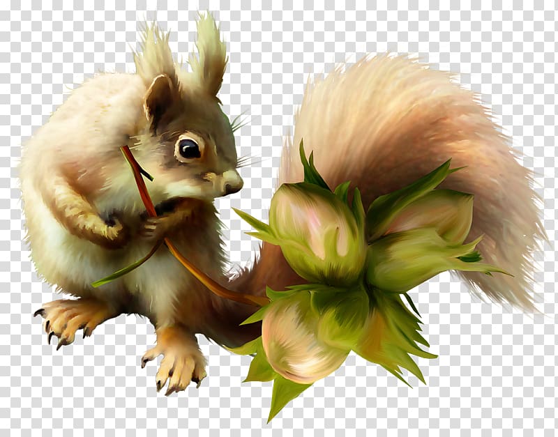 Chipmunk Tree squirrel Red squirrel , others transparent background PNG clipart